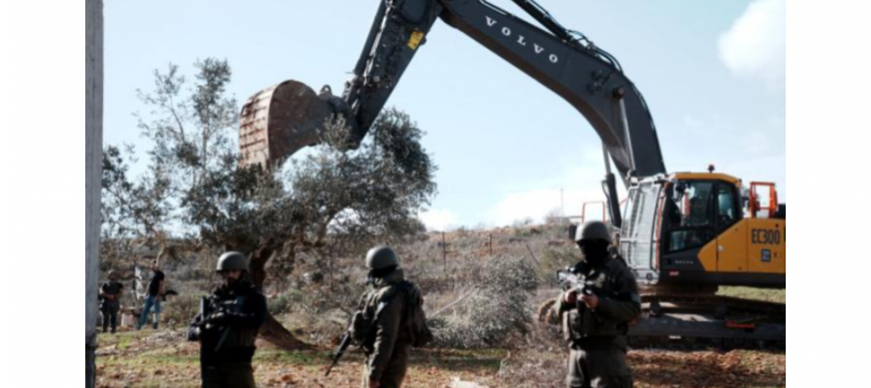 Rıdvan Eşin: Filistin’in Zeytin Ağaçlarına Yönelik Saldırılar İnsanlık Vicdanına Yapılmıştır - GÜNDEM - İnternetin Ajansı